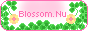 blossom